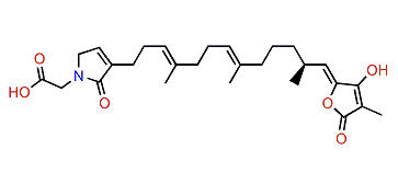 Ircinialactam A